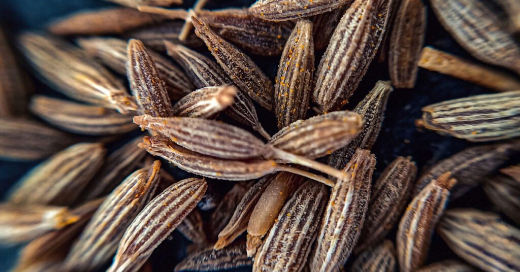 Cumin vs. Mexican Cumin Clarification