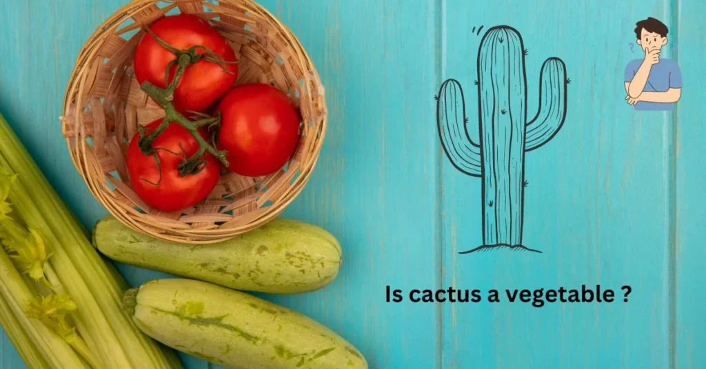 Is cactus a vegetable