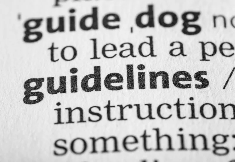 content quality guidelines